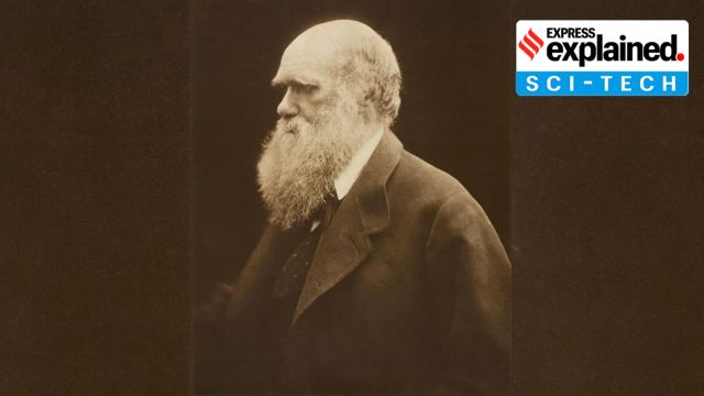 Exploring the Impact of Evolutionary Theories: Celebrating Darwin Day