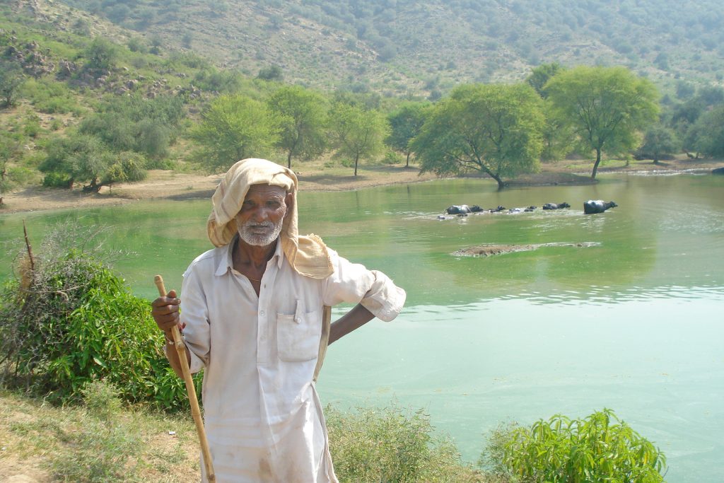 Preserving Orans: The Sacred Groves of Western Rajasthan